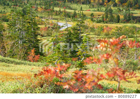 Midagahara in Tateyama in autumn colors Midagahara in Tateyama in autumn colors 80889227