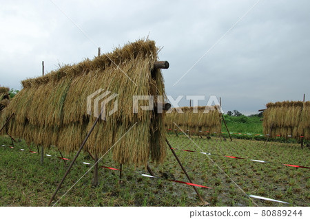 Scenery with a rice rack Tokikawa Town Scenery with a rice rack Tokikawa Town 80889244