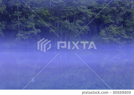 Kamikochi Taisho Pond in the morning mist 80889809