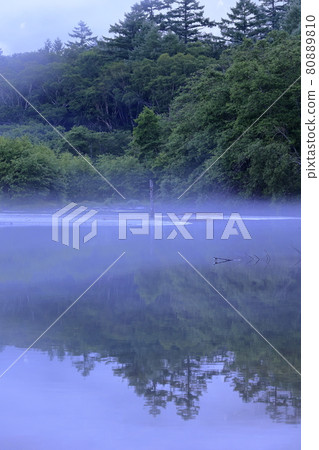Kamikochi Taisho Pond in the morning mist 80889810
