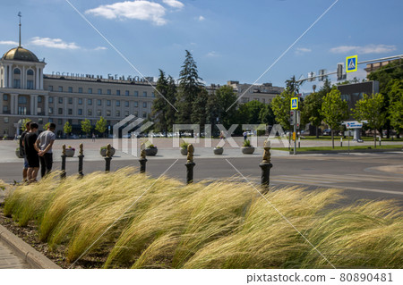 Belgorod, Russia - July 08, 2021: Lawn with feather grass on the background of Cathedral Square in the center of Belgorod Belgorod, Russia - July 08, 2021: Lawn with feather grass on the background of Cathedral Square in the center of Belgorod 80890481