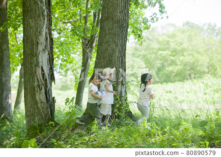 Children catching insects in the forest 80890579