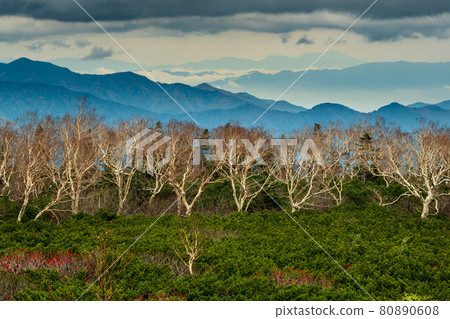 View toward the Northern Alps from the autumn Norikura Skyline 80890608