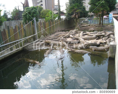 參觀大分縣別府溫泉的地獄 80890669