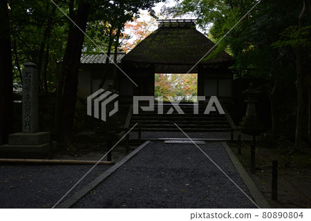 Hon in在門 80890804