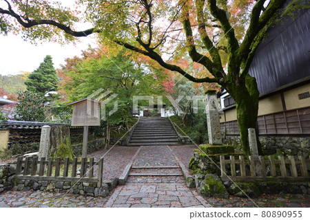 安田寺 安田寺 80890955