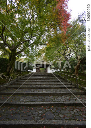 安田寺 80890960