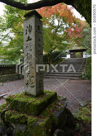 安田寺 80890970