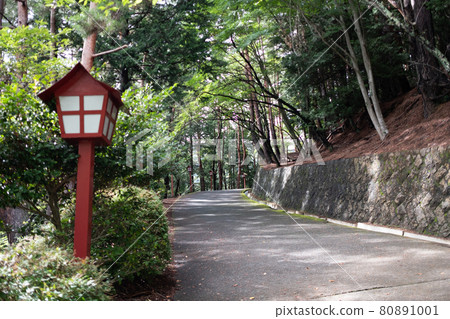 進場燈旁邊 進場燈旁邊 80891001