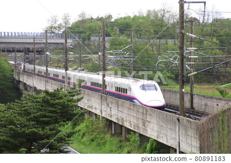 Hayate / E2 Series / Tohoku Shinkansen (Fukushima Prefecture / Koriyama City) 80891183