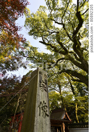 Kyoto Misono Munakata Shrine Kyoto Misono Munakata Shrine 80892105