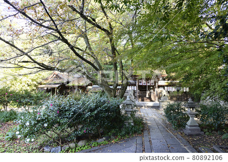 京都Misono Munakata神社 80892106
