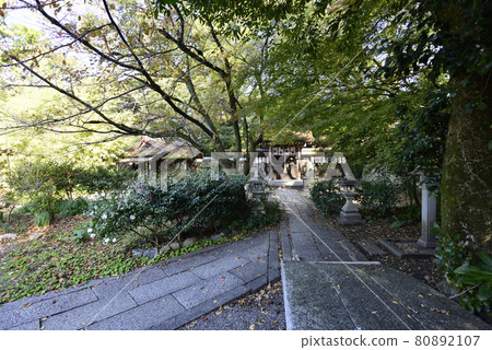京都Misono Munakata神社 京都Misono Munakata神社 80892107