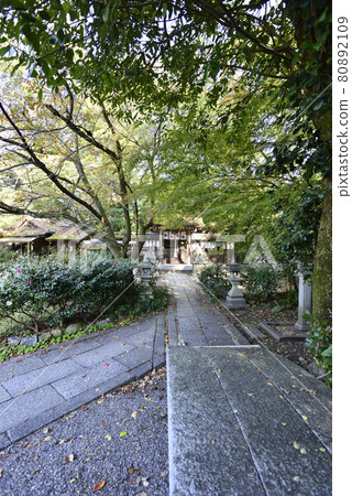 Kyoto Misono Munakata Shrine 80892109