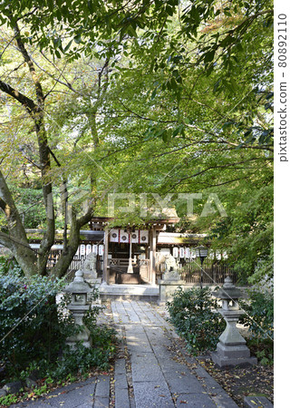 Kyoto Misono Munakata Shrine 80892110
