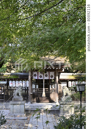 京都Misono Munakata神社 京都Misono Munakata神社 80892116