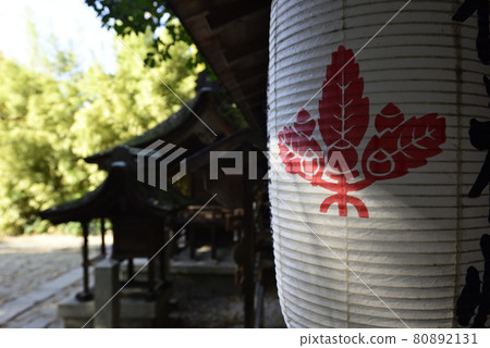 Kyoto Misono Munakata Shrine Kyoto Misono Munakata Shrine 80892131