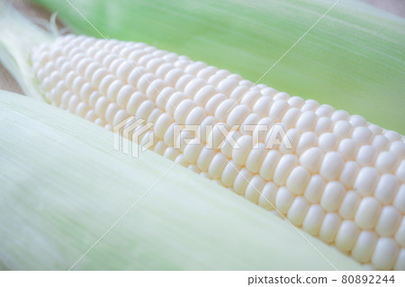 白玉米、純白、新鮮採摘的蔬菜 80892244