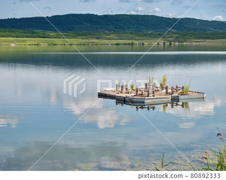 Nesting aid for wild birds on water of Milada lake Nesting aid for wild birds on water of Milada lake 80892333