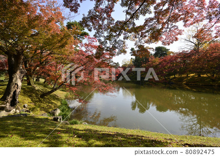 京都淺戶御所北池池塘 京都淺戶御所北池池塘 80892475