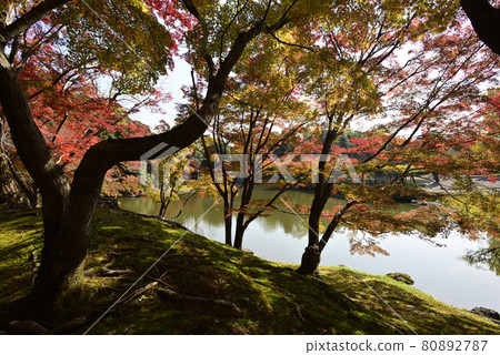 Kyoto Sento Imperial Palace Minamiike Autumn Leaves Kyoto Sento Imperial Palace Minamiike Autumn Leaves 80892787
