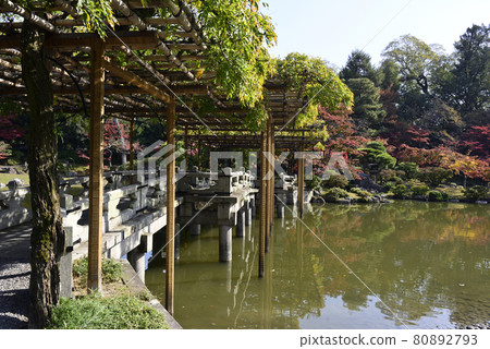 Kyoto Sento Imperial Palace Minamiike Autumn Leaves 80892793