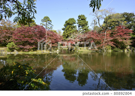 Kyoto Sento Imperial Palace Minamiike Autumn Leaves Kyoto Sento Imperial Palace Minamiike Autumn Leaves 80892804