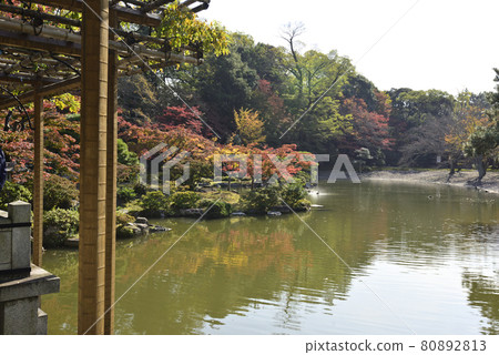 Kyoto Sento Imperial Palace Minamiike Autumn Leaves Kyoto Sento Imperial Palace Minamiike Autumn Leaves 80892813