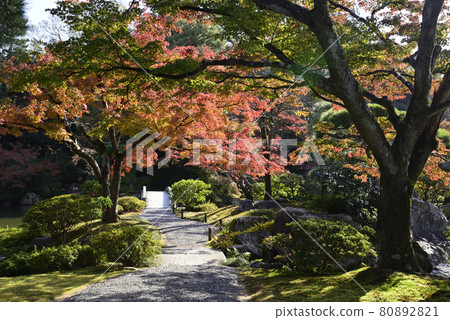 Kyoto Sento Imperial Palace Minamiike Autumn Leaves Kyoto Sento Imperial Palace Minamiike Autumn Leaves 80892821
