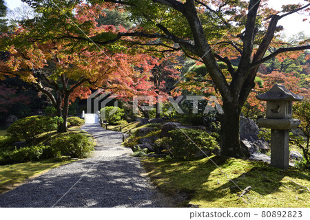 Kyoto Sento Imperial Palace Minamiike Autumn Leaves Kyoto Sento Imperial Palace Minamiike Autumn Leaves 80892823