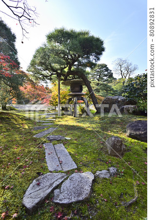 Kyoto Sento Imperial Palace Minamiike Autumn Leaves Kyoto Sento Imperial Palace Minamiike Autumn Leaves 80892831