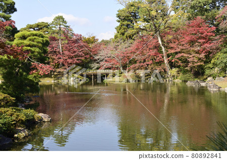 Kyoto Sento Imperial Palace Minamiike Autumn Leaves Kyoto Sento Imperial Palace Minamiike Autumn Leaves 80892841
