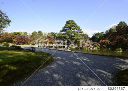 京都仙都御所南池秋葉 京都仙都御所南池秋葉 80892867