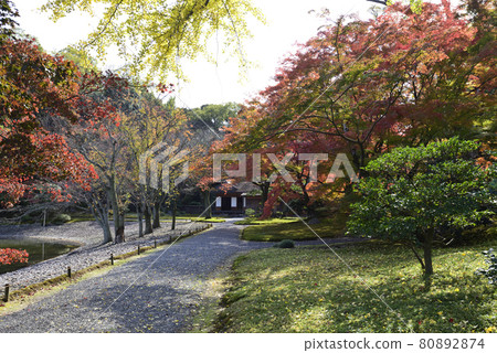 京都仙都御所南池秋葉 京都仙都御所南池秋葉 80892874