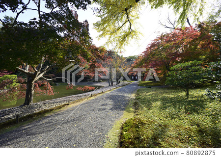 Kyoto Sento Imperial Palace Minamiike Autumn Leaves Kyoto Sento Imperial Palace Minamiike Autumn Leaves 80892875