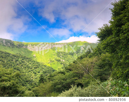 下漢拿山時的藍天、田野和樹木照片(韓國濟州島) 下漢拿山時的藍天、田野和樹木照片(韓國濟州島) 80892936