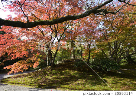 京都仙都皇居榮栖山 京都仙都皇居榮栖山 80893114