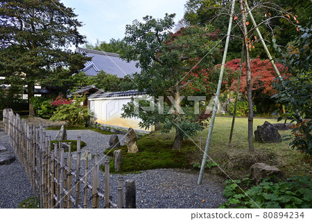 Tsukishoin(Mooninchoin) Tsukishoin(Mooninchoin) 80894234