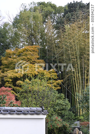 Tsukishoin (Mooninchoin) 80894237