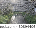 Sakura in Yaizu 80894406