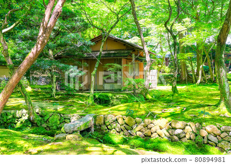 京都西法寺（苔寺）的花園 80894981