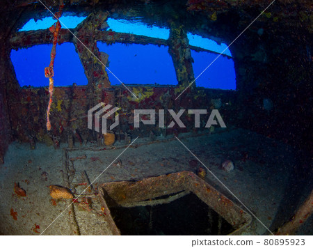 Inside the wreck (Mama Vina Wreck, Playa del Carmen, Mexico) 80895923