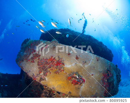 沉船的前上部(Mama Vina Wreck,Playa del Carmen,墨西哥) 沉船的前上部(Mama Vina Wreck,Playa del Carmen,墨西哥) 80895925