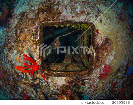 從上面看沉船的嘴(Mama Vina Wreck,Playa del Carmen,墨西哥) 從上面看沉船的嘴(Mama Vina Wreck,Playa del Carmen,墨西哥) 80895926