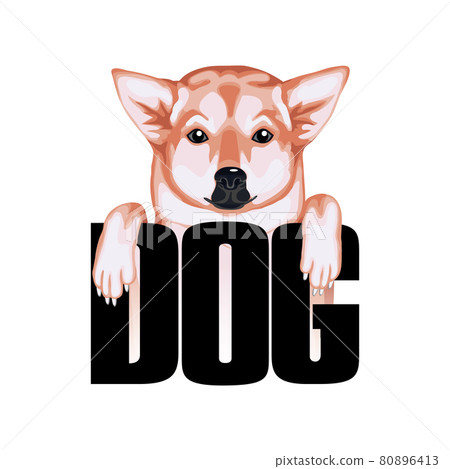 Tshirt print Dog with Dog isolated on White Background Tshirt print Dog with Dog isolated on White Background 80896413