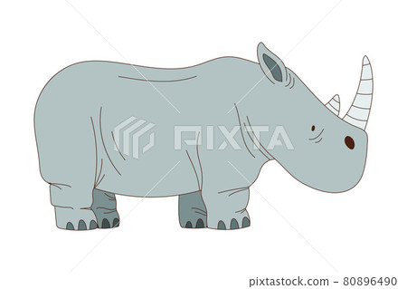 Grey Rhinoceros with Horn as African Animal Vector Illustration Grey Rhinoceros with Horn as African Animal Vector Illustration 80896490