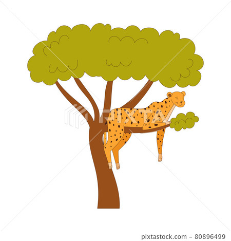 Spotted Cheetah Sitting on Tree Branch as... - Stock Illustration ...