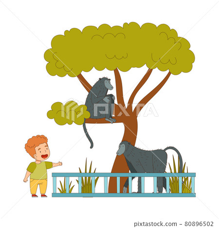 Happy Little Boy Looking at Monkey Behind Enclosure at Zoo Vector Illustration Happy Little Boy Looking at Monkey Behind Enclosure at Zoo Vector Illustration 80896502