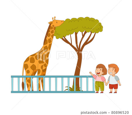 Happy Little Boy and Girl Looking at Giraffe Behind Enclosure at Zoo Vector Illustration Happy Little Boy and Girl Looking at Giraffe Behind Enclosure at Zoo Vector Illustration 80896520
