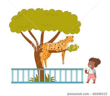 Happy Little Girl Looking at Cheetah Sitting on Tree Behind Enclosure at Zoo Vector Illustration Happy Little Girl Looking at Cheetah Sitting on Tree Behind Enclosure at Zoo Vector Illustration 80896525
